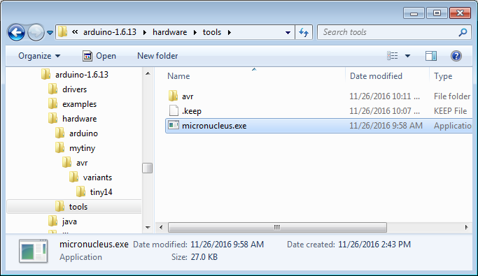 Copying micronucleus executable
